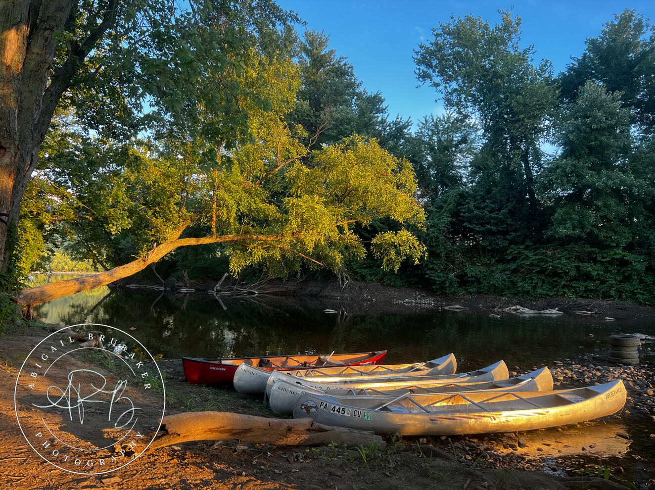 Boats On The Shore