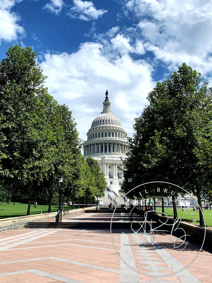 The Capitol In Spring
