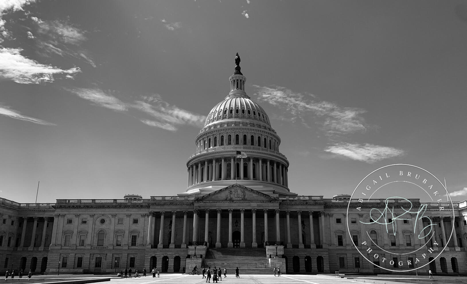 The Capitol In Black And White