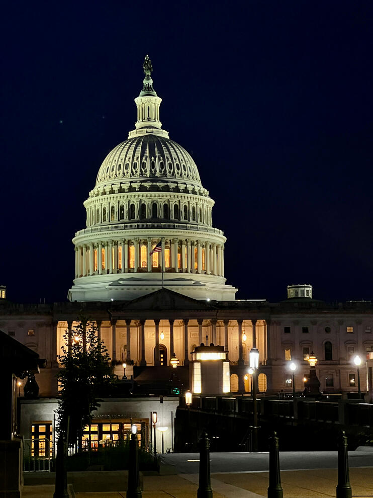 The Capitol At Night