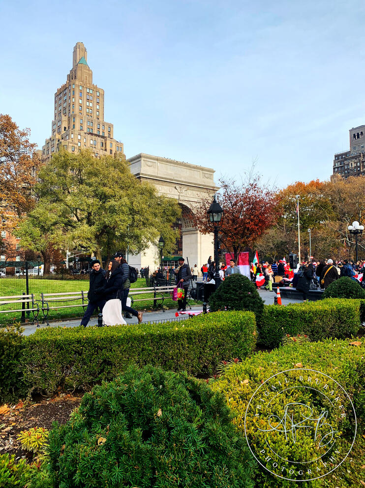 Stroll Through The Park
