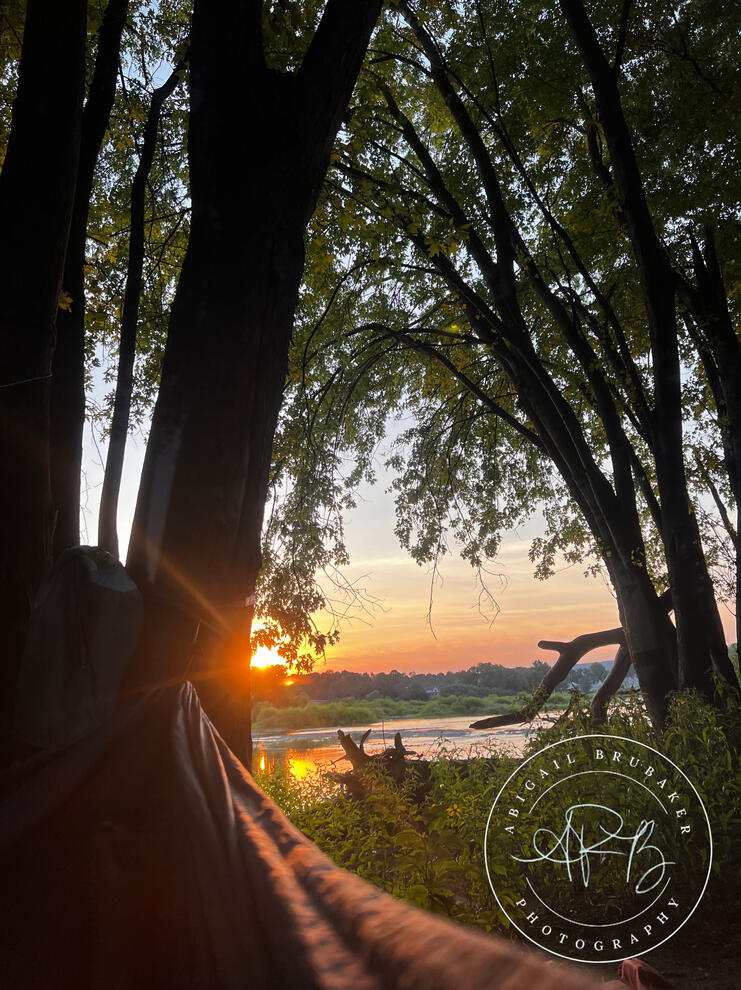 Hammock At Dusk