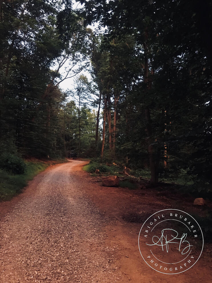 Walk Down Camp Road