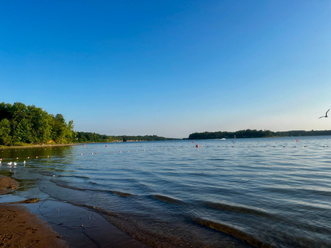 Lake View