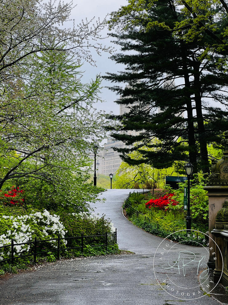 Central Park
