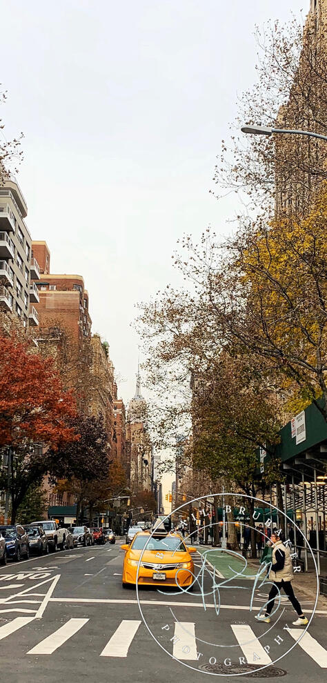 A View Down Fifth